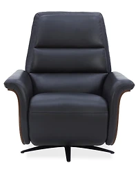Fernand 43" Leather Power Swivel Recliner