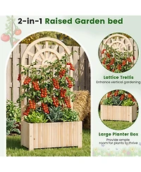 Gouun 48 in Solid Wood Raised Garden Bed with Lattice Trellis Screen