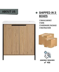 Sillysis Modern Freestanding Bathroom Vanity with Resin Sink, Soft Close Door, Adjustable Shelf, Plywood Cabinet