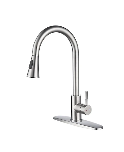 Phying Kitchen Faucet with Pull Out Spraye