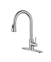 Phying Kitchen Faucet with Pull Out Spraye