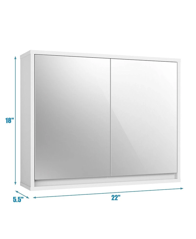 Volenca 2-Door Wall-Mounted Mirrored Medicine Cabinet, 22-in W