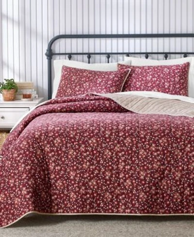 Charter Club Parker Reversible Quilt Sets Macys Exclusive