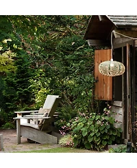 Allsop Home & Garden, Soji Stella Nova Starbeam Evergeen