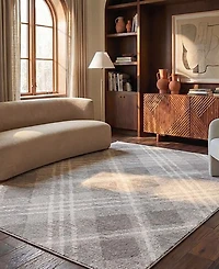 Safavieh Adirondack 129 Light Gray and Ivory 8' x 10' Area Rug