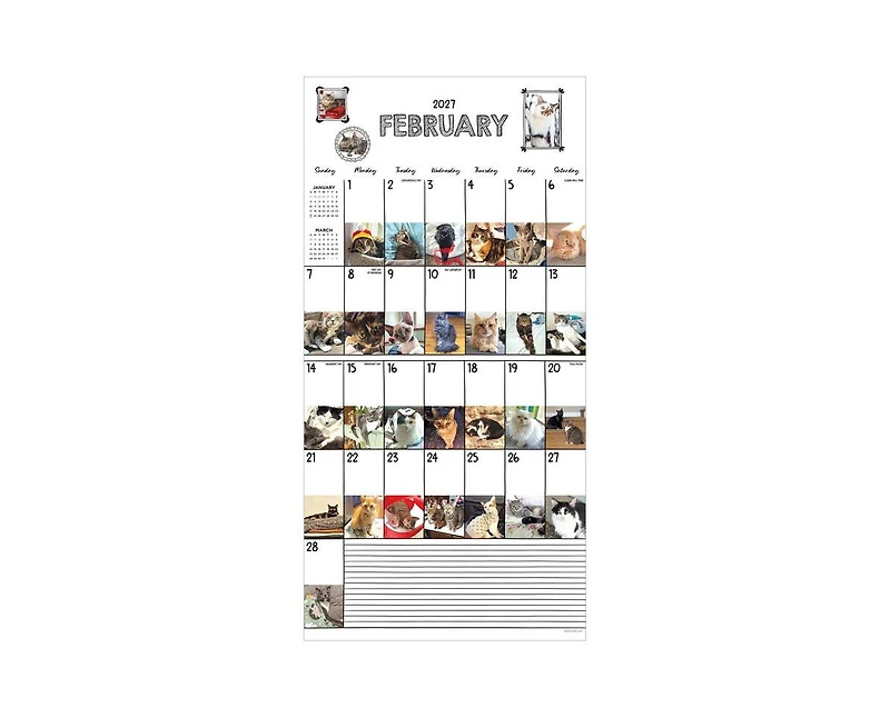Tf Publishing Paper Goods 2027 Cat-a-Day Wall Calendar