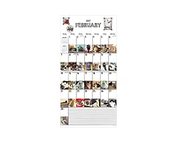 Tf Publishing Paper Goods 2027 Cat-a-Day Wall Calendar