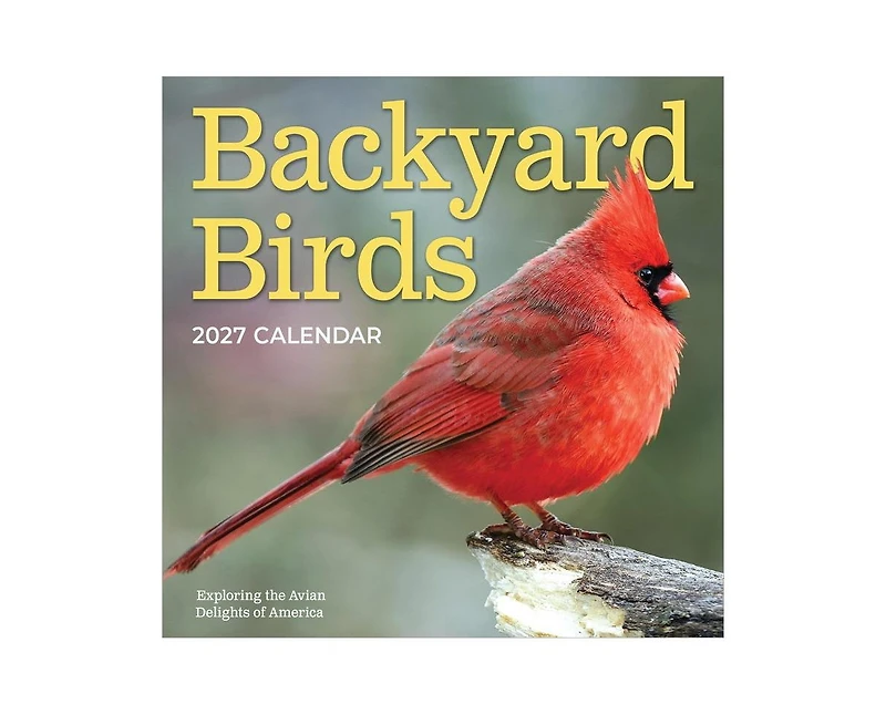 Tf Publishing Paper Goods 2027 Backyard Birds Wall Calendar