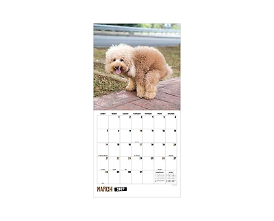 Tf Publishing Paper Goods 2027 Pooping Dogs Wall Calendar