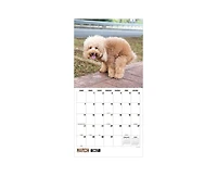Tf Publishing Paper Goods 2027 Pooping Dogs Wall Calendar