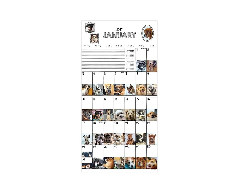 Tf Publishing Paper Goods 2027 Dog-a-Day Wall Calendar