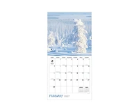 Tf Publishing Paper Goods 2027 Wild Weather Wall Calendar