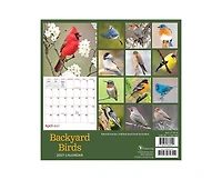 Tf Publishing Paper Goods 2027 Backyard Birds Mini Calendar