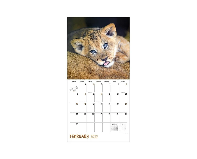 Tf Publishing Paper Goods 2027 Baby Animals Wall Calendar