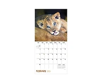 Tf Publishing Paper Goods 2027 Baby Animals Wall Calendar