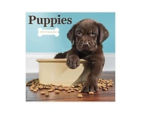 Tf Publishing Paper Goods 2027 Puppies Wall Calendar