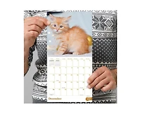 Tf Publishing Paper Goods 2027 Kittens Mini Calendar
