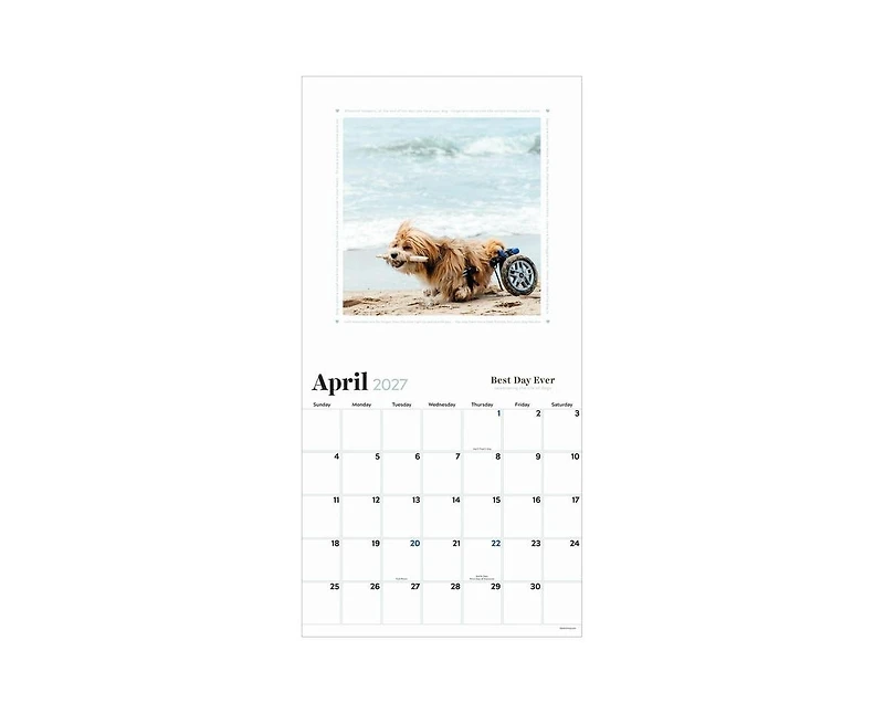 Tf Publishing Paper Goods 2027 Best Day Ever Celebrating The Life of Dogs Wall Calendar