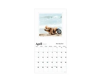 Tf Publishing Paper Goods 2027 Best Day Ever Celebrating The Life of Dogs Wall Calendar