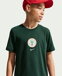 Nike Big Boys and Girls Green Nigeria National Team Crest T-Shirt