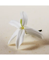Chloe Atelier des Fleurs Jasminum Sambac Eau de Parfum Spray, 5 oz.