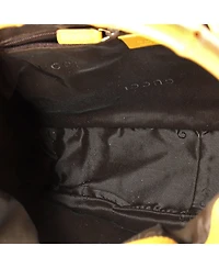 Pre-Owned Gucci Small Diana Bamboo Shoulder Bag Gg Canvas