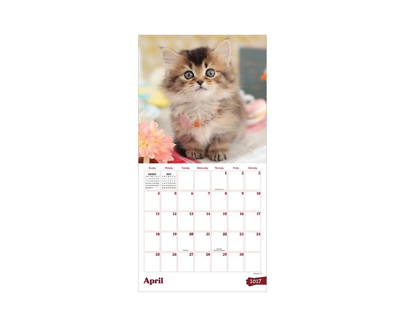 Tf Publishing Paper Goods 2027 Kittens Wall Calendar