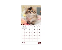 Tf Publishing Paper Goods 2027 Kittens Wall Calendar