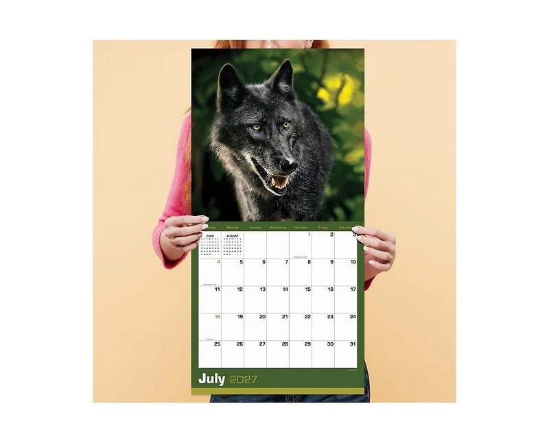Tf Publishing Paper Goods 2027 Wolves Wall Calendar
