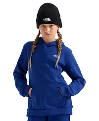 The North Face Boys' and Girls' 7-20 Evolution Simple Dome Long-Sleeve Pullover Hoodie
