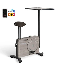 Harison Exercise Bike with Desktop,Indoor Exercise Bike for Home(Hrm-B15W)