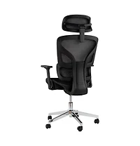 homfan Ergonomic High-Back Mesh Office Chair with 4D Armrests, Lumbar Support, Headrest, Seat Depth Adjustment, Tilt Lock