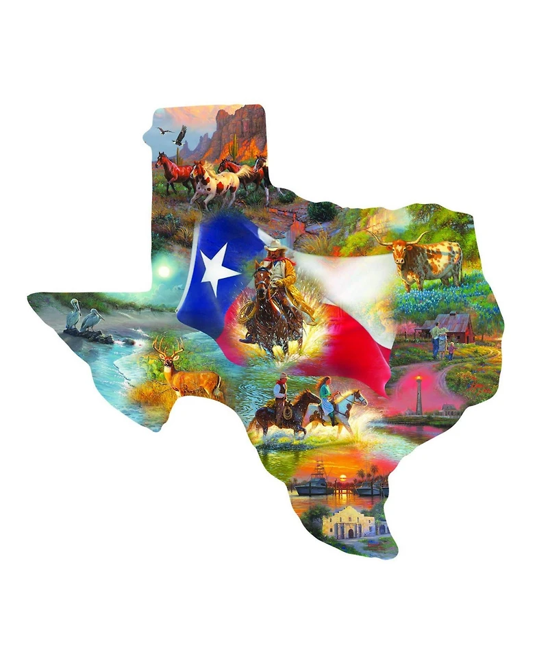 SunsOut Images of Texas 1000 piece Jigsaw Puzzle for Adults Special Shape