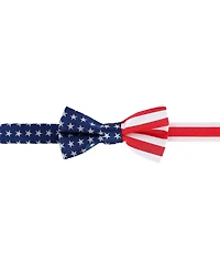 Trafalgar Men's America's Old Glory Silk Bow Tie