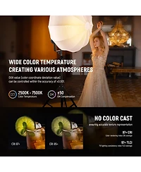 Neewer TLCI97 Led Video Light with 300W, 29600Lux, 7500K