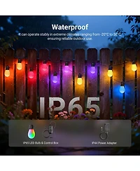 Neewer NR01 Ring Light with 96ft, 30 Led for Alexa Google