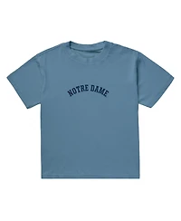 Uscape Apparel Men's Light Blue Notre Dame Fighting Irish Upside Down Embroidered Vintage Heavyweight T-Shirt