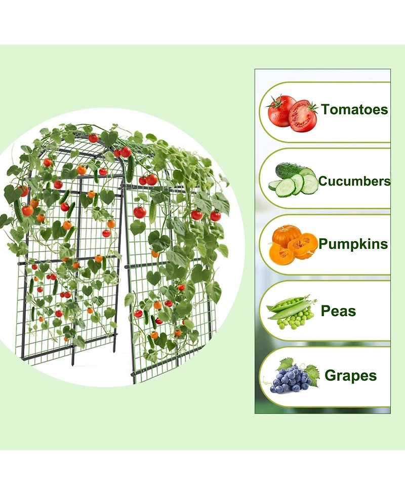 homfan 71 x 39 x 83 Inch Steel Garden Arch Trellis for Climbing Plants, Outdoor Arbor Pergola for Gate Entrance Pathway
