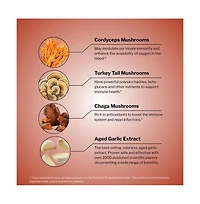 Kyolic Immune Mushrooms Supplement | Chaga, Cordyceps, Turkey Tail and Aged Garlic Extract for Wellness and Energy Support | 60 Capsules