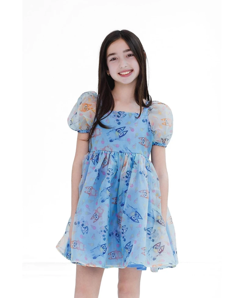 Bluey Toddler Girls (2T-4T) Tutu Dress