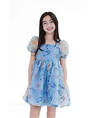 Bluey Toddler Girls (2T-4T) Tutu Dress