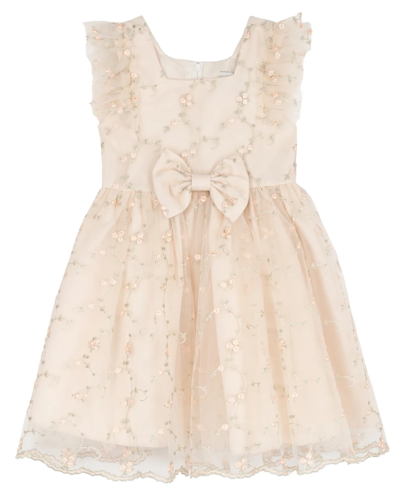 Rare Editions Girls' 2T-6X Embroidered Mesh Flutter Sleeve Dress
