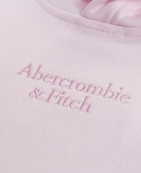 abercrombie kids Toddler Girls' 2T-5T Essential Logo Pullover Hoodie