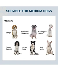 Ruie 17 in Double Elevated Dog Bowls Stainless Steel Feeding Station