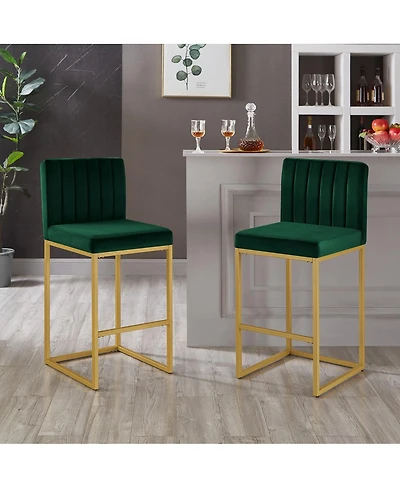 Streamdale Furniture Set of 2 Modern Fashion Counter Height Stools with Backrest