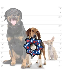 Tuffy Medium Gear Ring Star, Plush Squeaky Dog Toy
