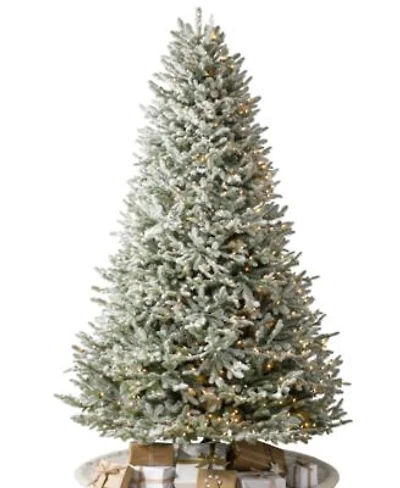 Balsam Hill Frosted Fir Tree Collection