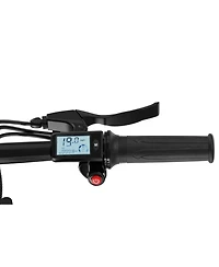 GoPowerBike GoRay Folding Electric Bike 20mph Max Speed and 350W Motor