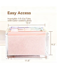 Danrong Plastic Extra Capacity Hanging File Folders Expanding Pocket Heavy Duty Filing Cabinet Tabs Letter Pack
