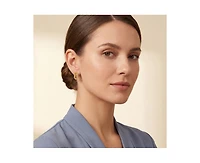 Rachel Glauber Radiant 14K Gold Plated Mesh Rectangular Loops Earrings